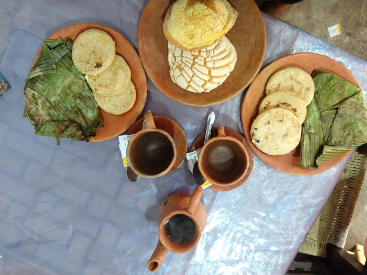 Posada "Jardin Huasteca Xilitla" Dış mekan fotoğraf
