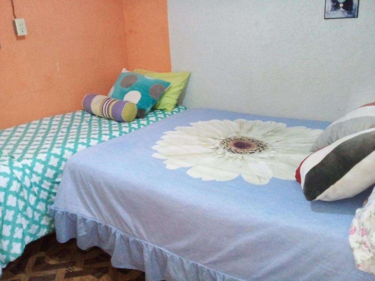Posada "Jardin Huasteca Xilitla" Dış mekan fotoğraf